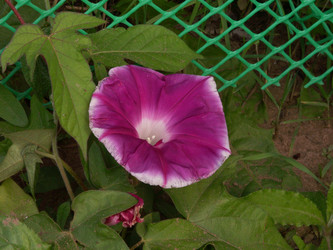 Similar image 21970787