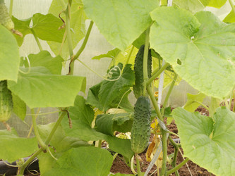 Similar image 21970788