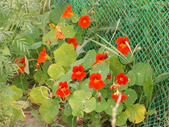 Similar image 21970789