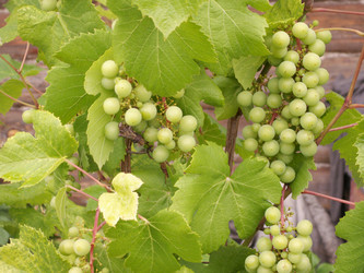 Similar image 21970793