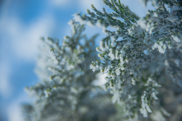 Similar image 21971172