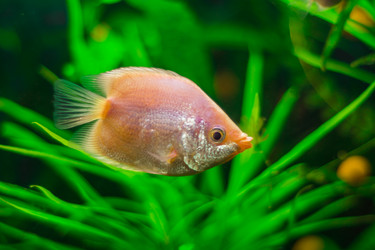 Similar image 21971174