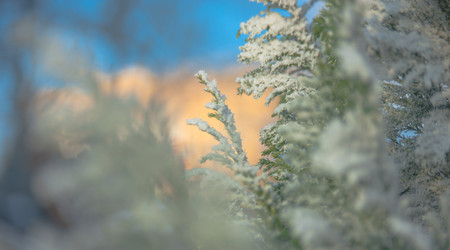 Similar image 21971175