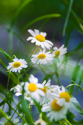 Similar image 21971177