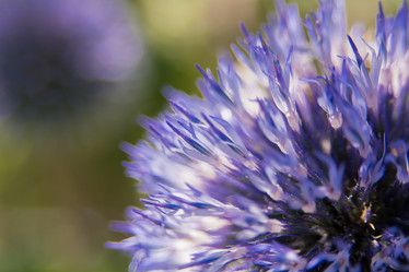 Similar image 21971178