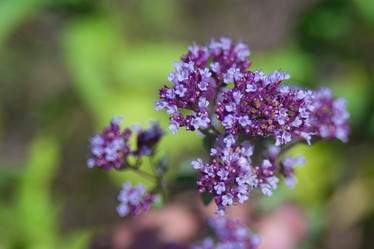 Similar image 21971183