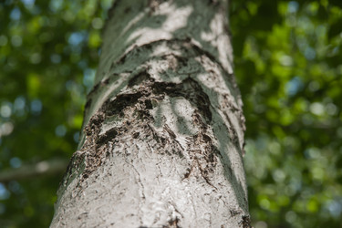 Similar image 21971184