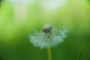 Similar image 21971186