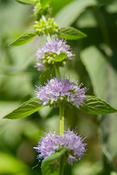 Similar image 21971187