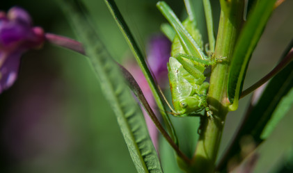 Similar image 21971191