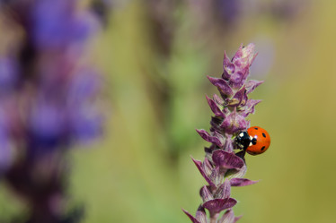 Similar image 21971192