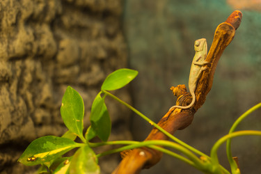 Similar image 21971194