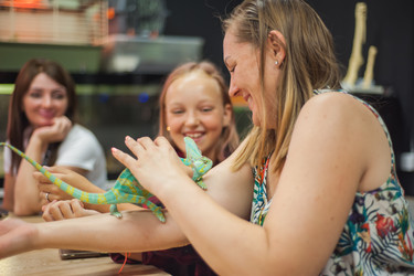 Similar image 21974868