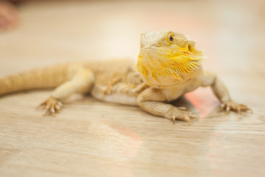 Similar image 21971195