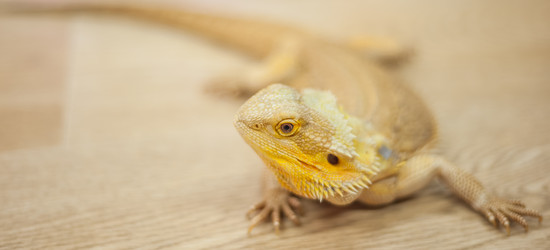 Similar image 21971196