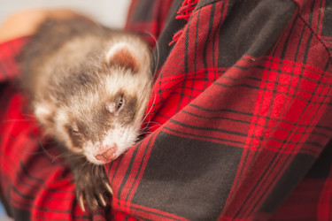 Similar image 21971199