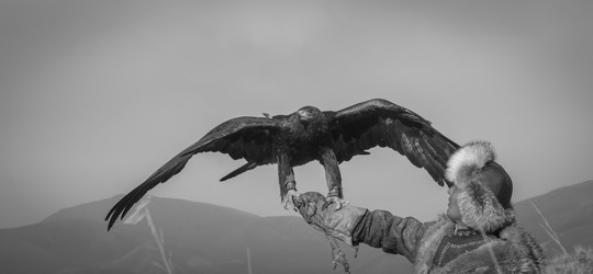 Similar image 21974871