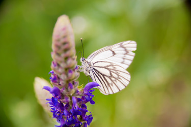 Similar image 21971201