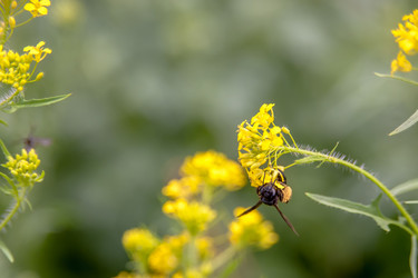 Similar image 21971202