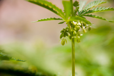 Similar image 21971205