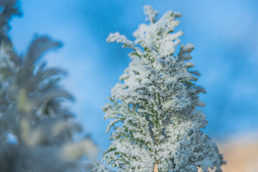 Similar image 21971206