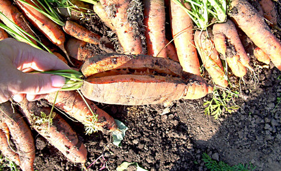 Similar image 21969995