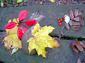 Similar image 21969996