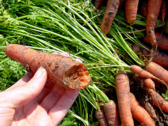 Similar image 21969998