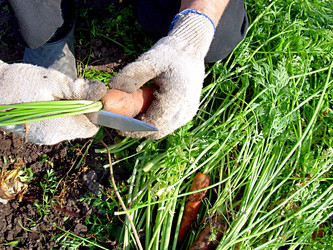 Similar image 21970000