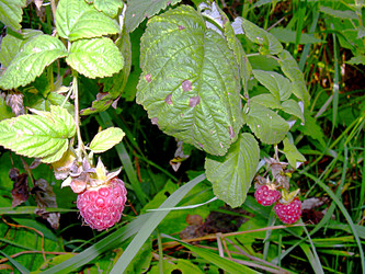 Similar image 21970003