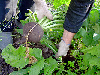 Similar image 21970004