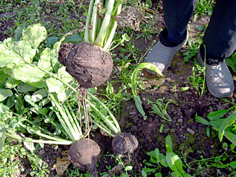 Similar image 21970005