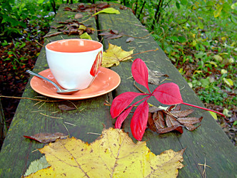 Similar image 21970022