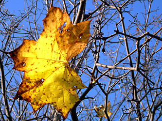 Similar image 21970023