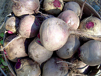 Similar image 21970026