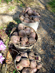 Similar image 21970027