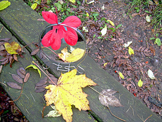 Similar image 21970031