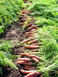 Similar image 21970034