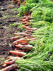 Similar image 21970035