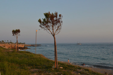 Similar image 21969428