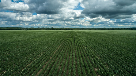 Similar image 21969435