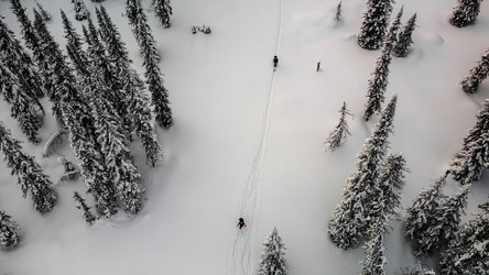 Similar image 21969436