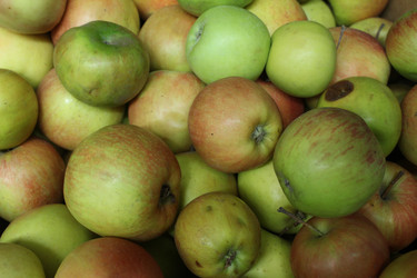 Similar image 21970812