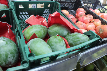 Similar image 21970813