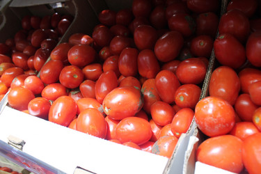 Similar image 21970815