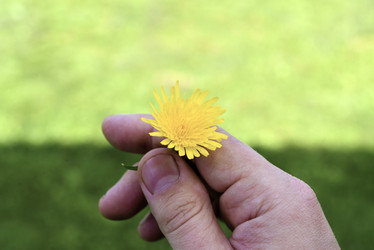 Similar image 21969567