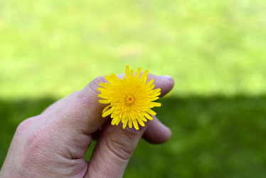 Similar image 21969568