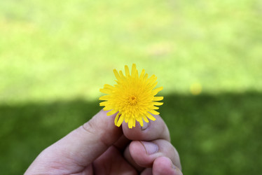 Similar image 21969569