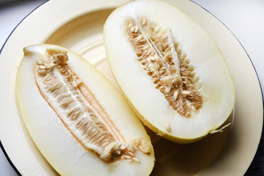 Similar image 21969571