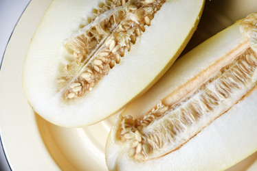 Similar image 21969572